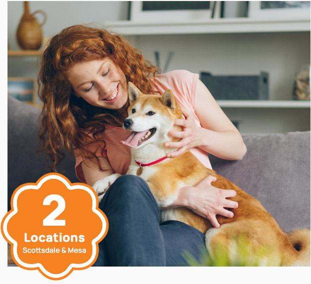 Low Cost Veterinary Surgery Clinic of Scottsdale Veterinary Services Scottsdale