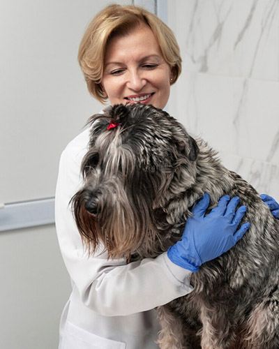 Low Cost Vet Difference