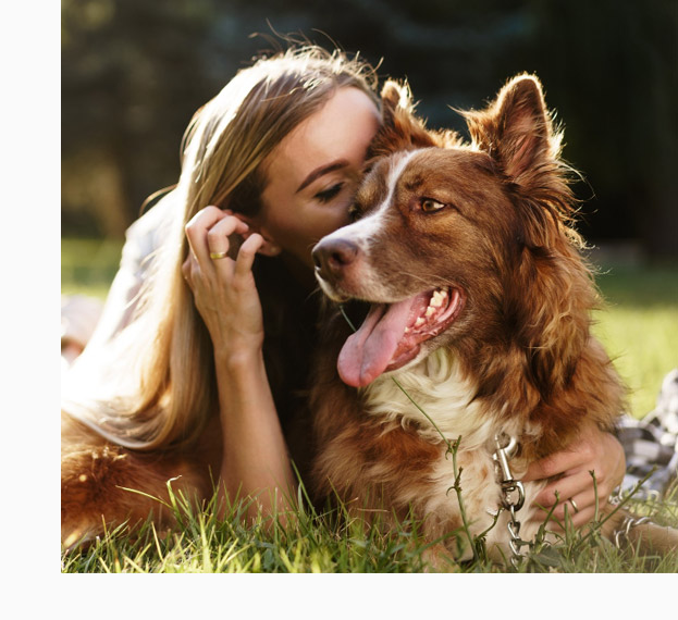 Empire Ranch Veterinary Hospital Veterinary Services San Tan Valley