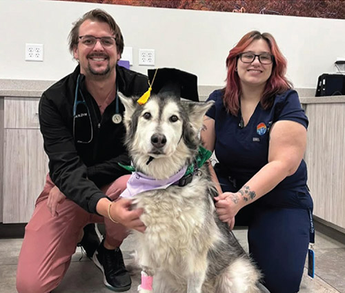 general practice programs
