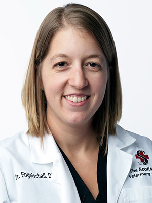 Dr. Engelschall DVM