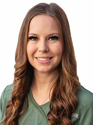 Dr. Meschino DVM