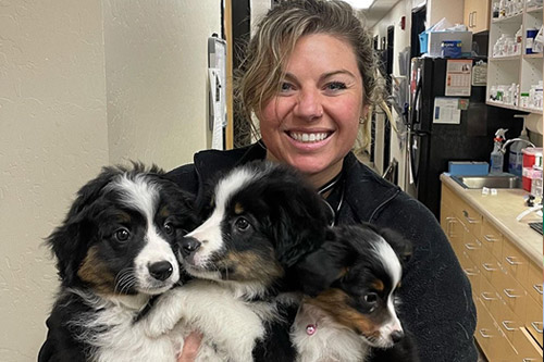 Passionate About Pets