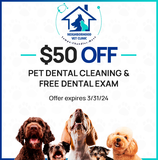 Download Your Coupon Neighborhood Veterinary Clinic