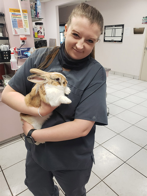 Rabbit Veterinary