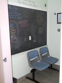 Queen Creek Veterinary Clinic Rainbow Bridge Room