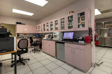 Queen Creek Veterinary Clinic Treatment Area