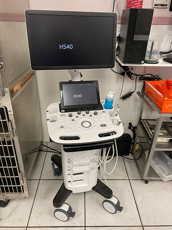 pet ultrasound