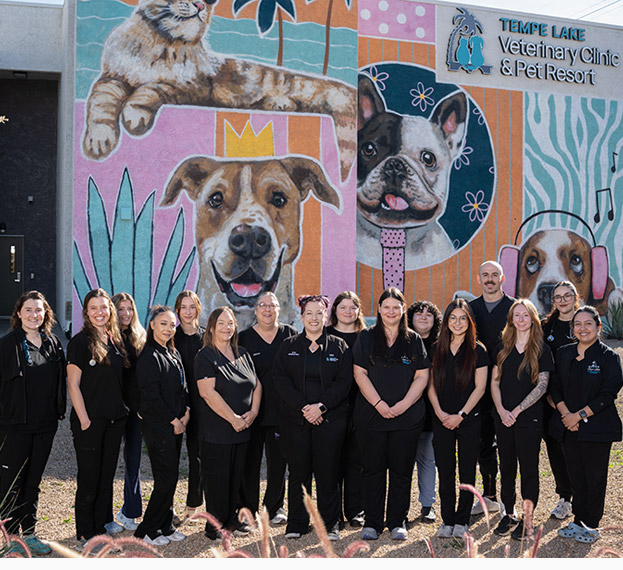 Tempe Lake Veterinary Clinic & Pet Resort Veterinary Services Tempe