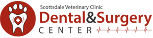 Pet Dental & Surgery