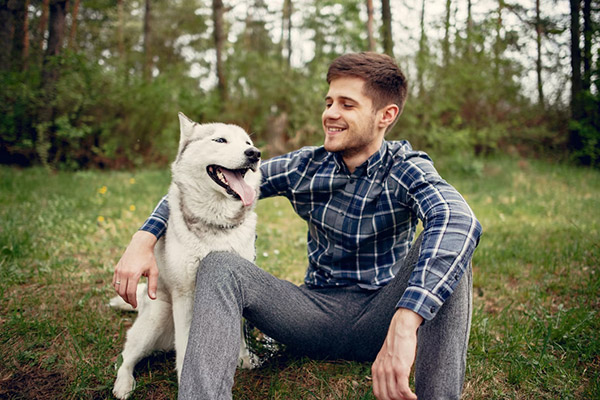 The Advantages of Neutering Your Male Pet