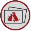 Remember Your Pets